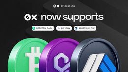 0xprocessing Expands Supported Networks with Bitcoin Cash, Polygon, and Arbitrum ONE