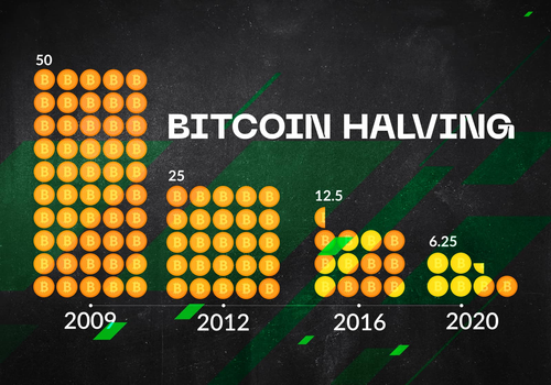 Bitcoin Market Rollercoaster Guide: Halving Cycles Decoded